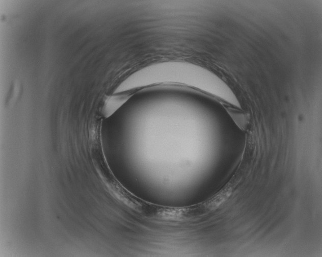 X0000081450084200702021753