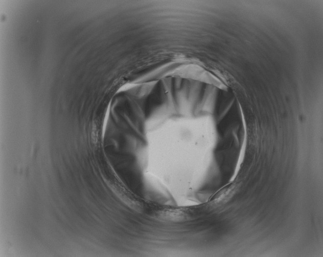 X0000081450086200702021753