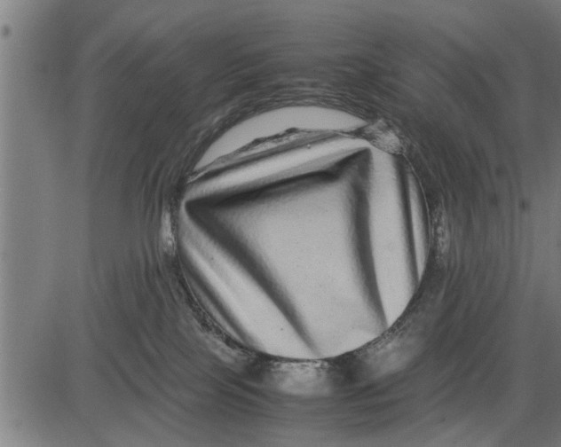 X0000081450089200702021753