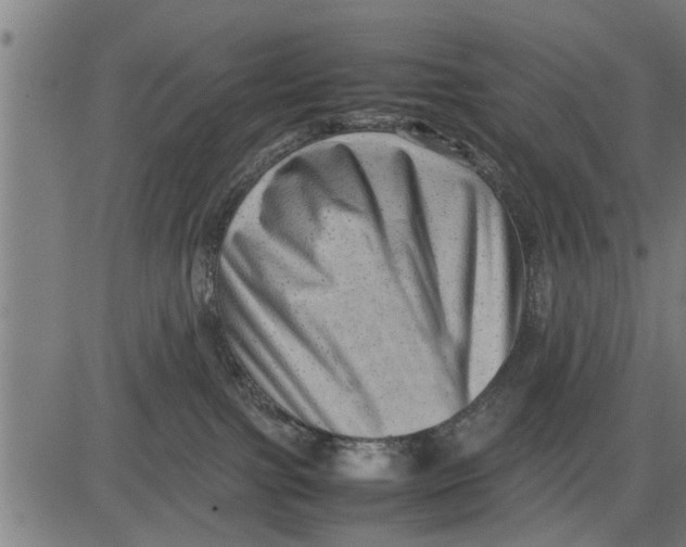 X0000081450091200702021753