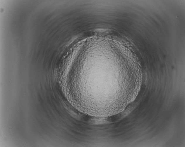 X0000081450093200702021753