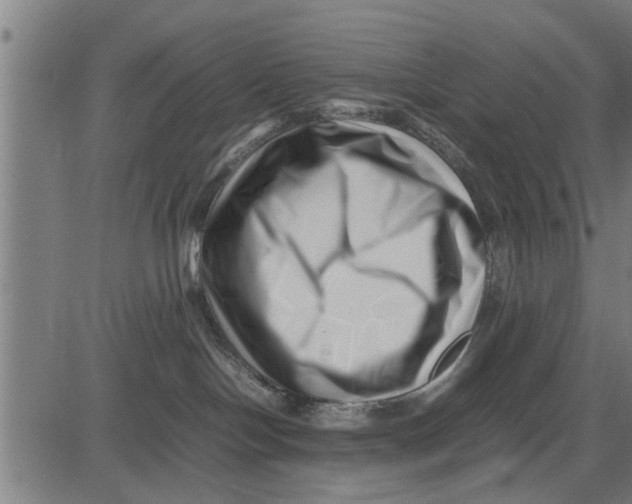 X0000081450094200702021753