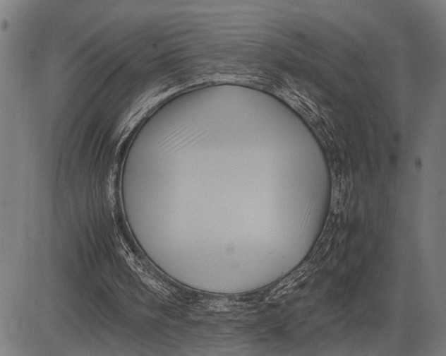 X0000081450098200702021752