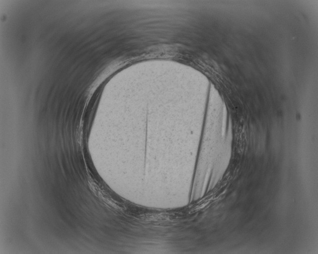 X0000081450100200702021752
