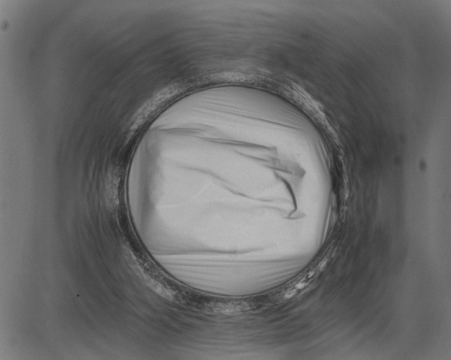 X0000081450106200702021752