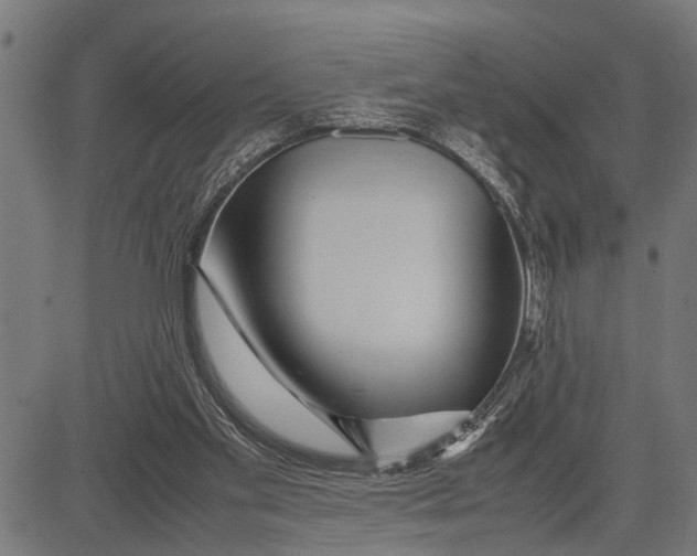 X0000081450109200702021752