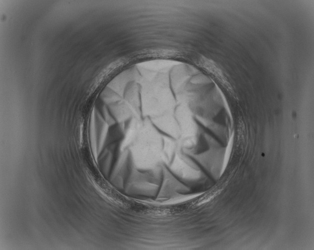 X0000081450110200702021752