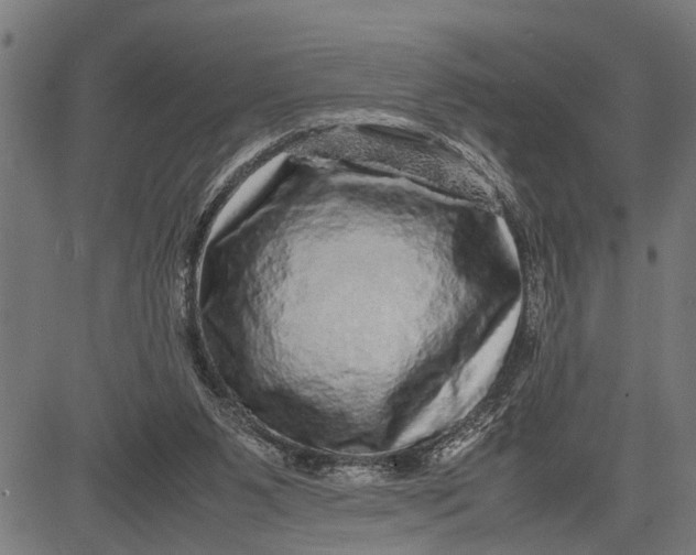 X0000081450111200702021752