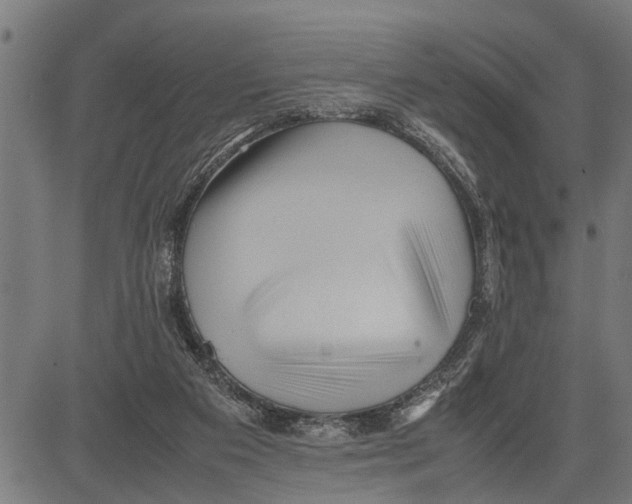 X0000081450113200702021752