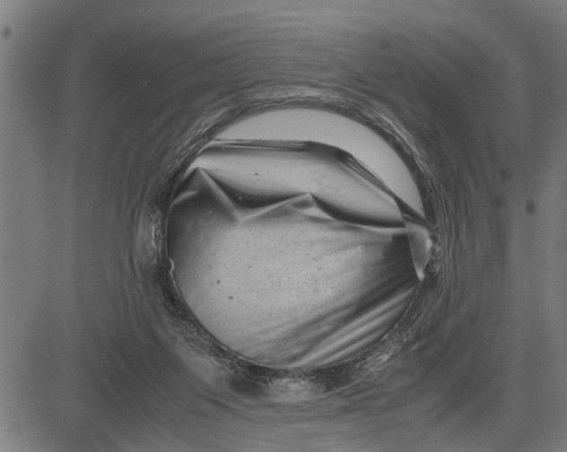 X0000081450119200702021752