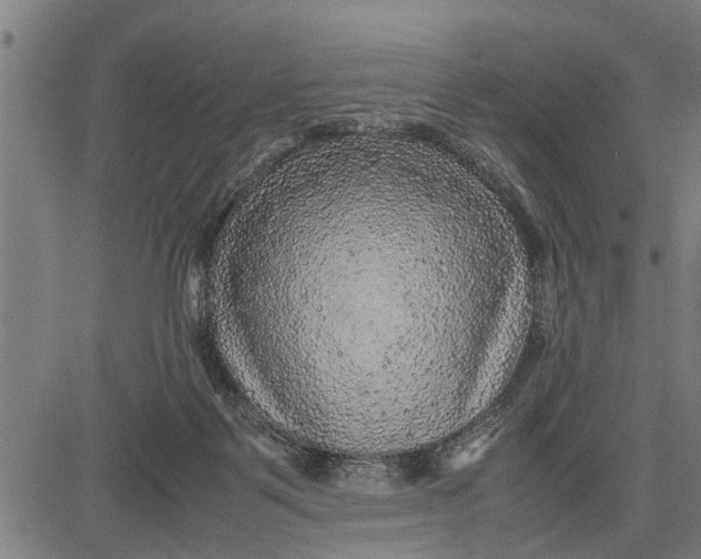 X0000081450123200702021752