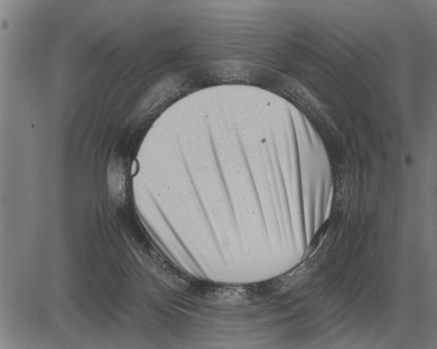 X0000081450124200702021752
