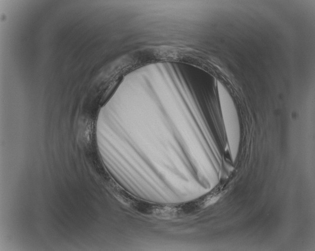 X0000081450125200702021752