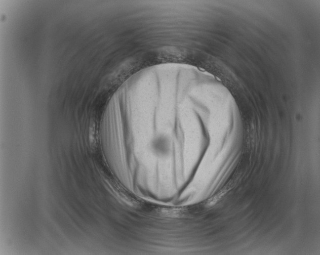 X0000081450134200702021752