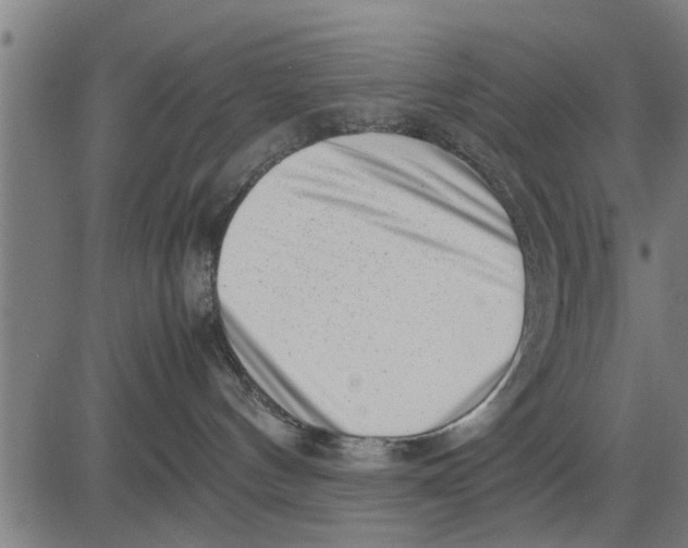 X0000081450144200702021752