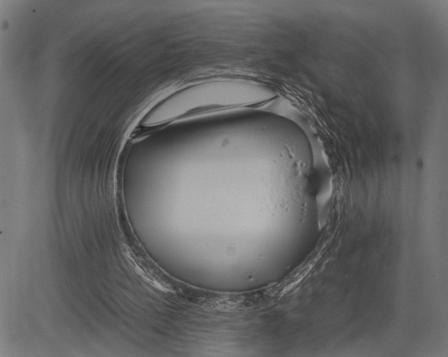 X0000081450148200702021751