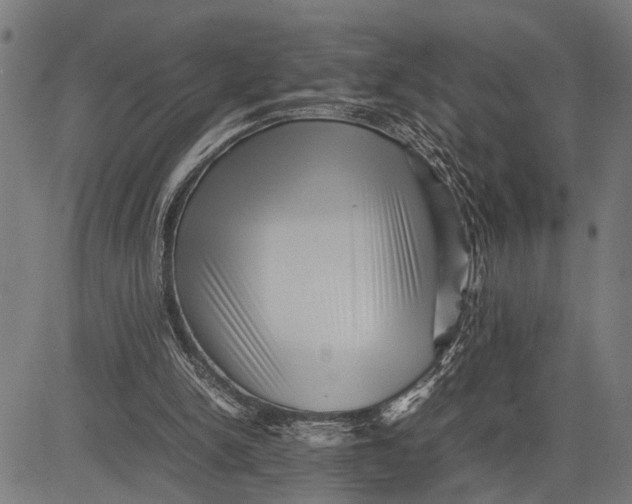 X0000081450150200702021751