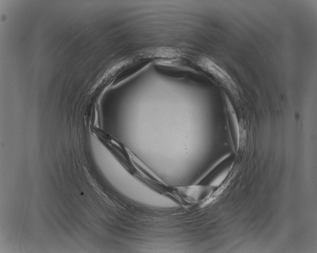 X0000081450158200702021751