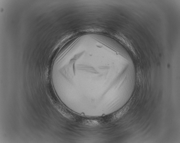 X0000081450159200702021751