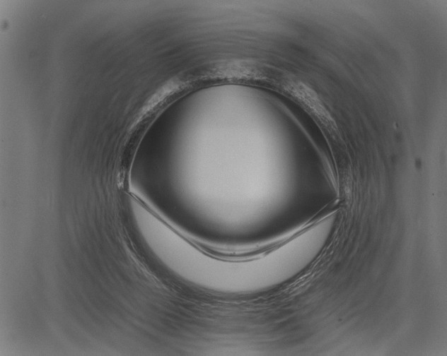 X0000081450160200702021751