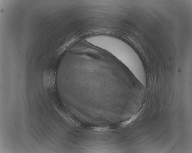 X0000081450168200702021751