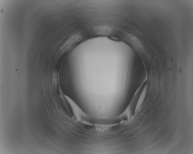 X0000081450172200702021751