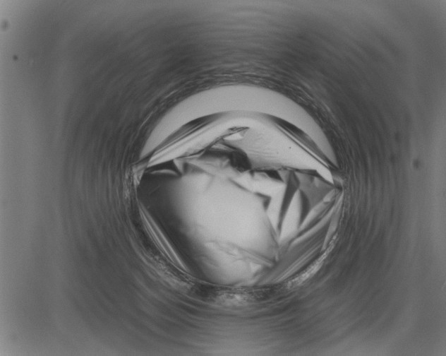 X0000081450174200702021751
