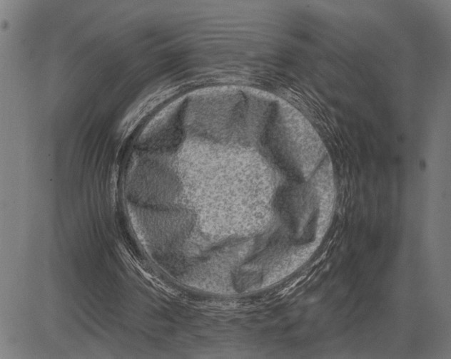 X0000081450194200702021751