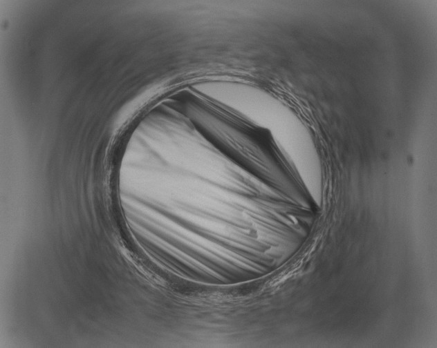 X0000081450197200702021751