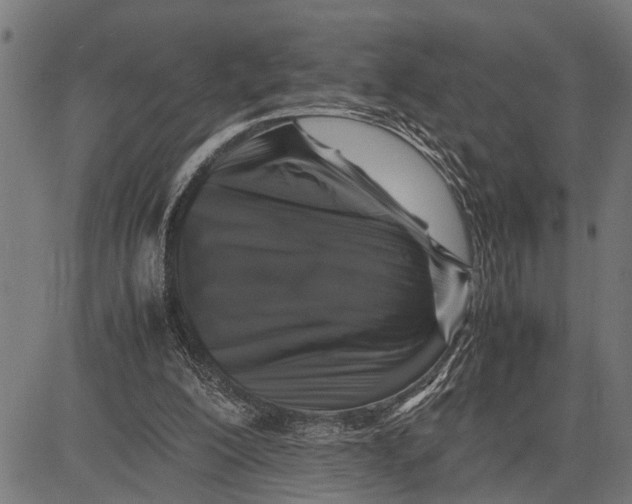 X0000081450200200702021751