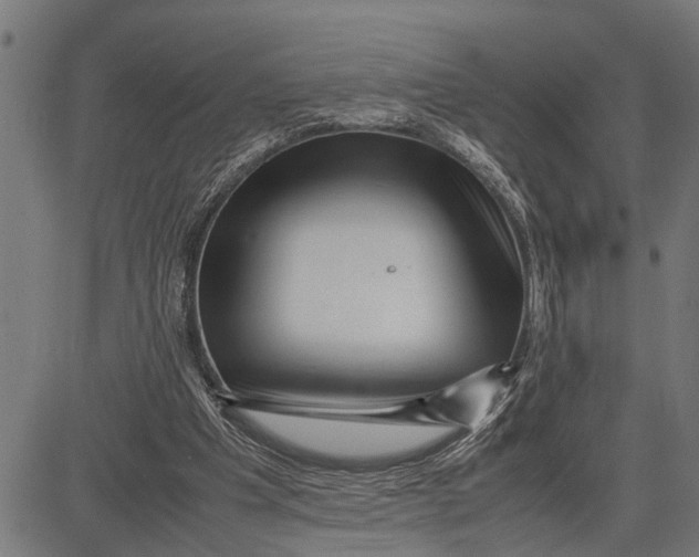X0000081450201200702021751