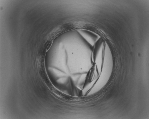 X0000081450217200702021750