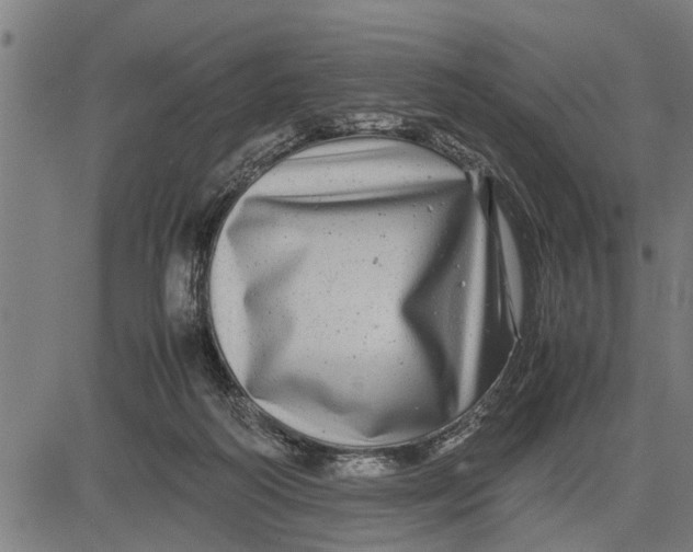 X0000081450218200702021750