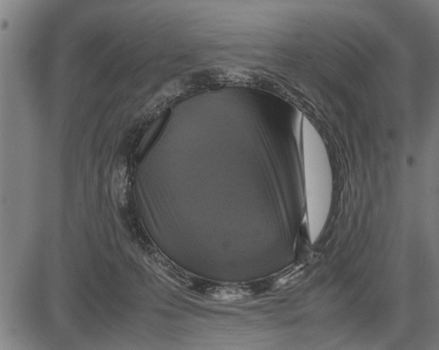 X0000081450223200702021750