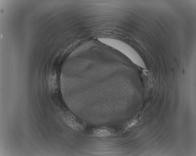 X0000081450224200702021750