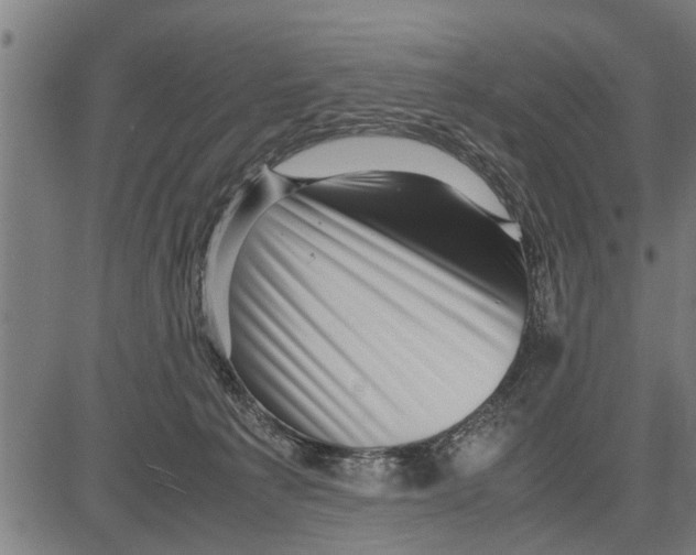 X0000081450225200702021750