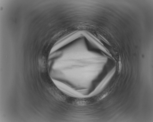 X0000081450228200702021750