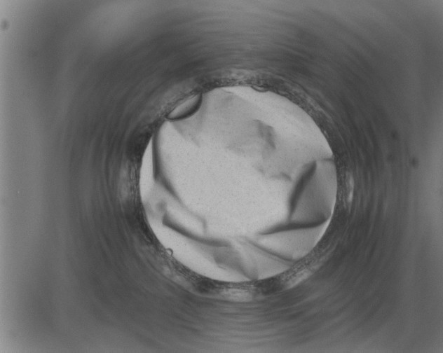 X0000081450236200702021750