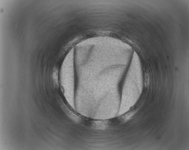 X0000081450238200702021750