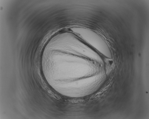 X0000081450241200702021749