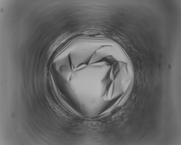 X0000081450242200702021749