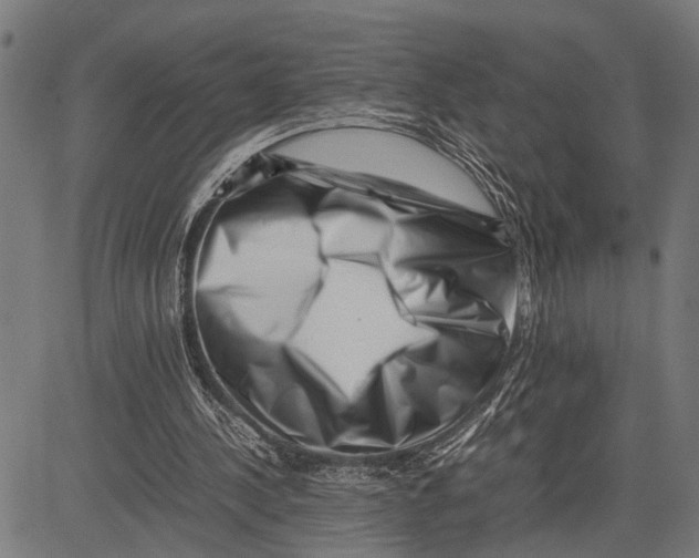 X0000081450244200702021749
