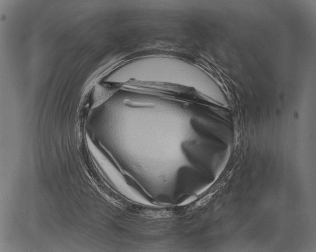 X0000081450245200702021749