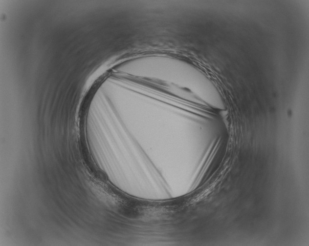 X0000081450246200702021749