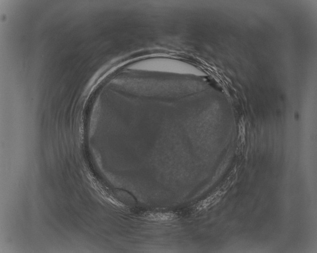 X0000081450247200702021749