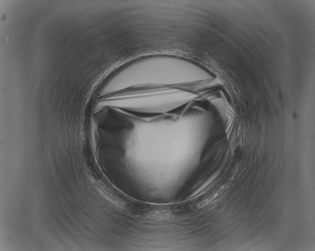 X0000081450252200702021749