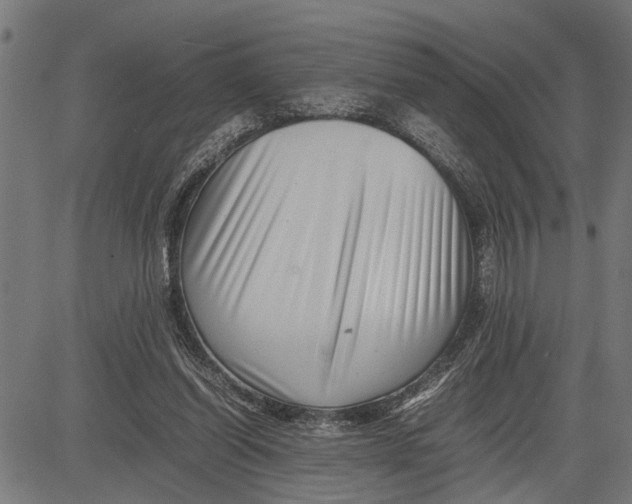 X0000081450254200702021749