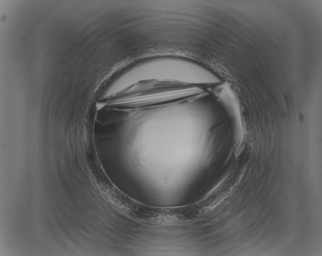 X0000081450256200702021749