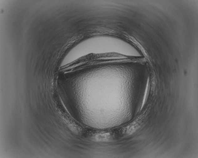 X0000081450257200702021749