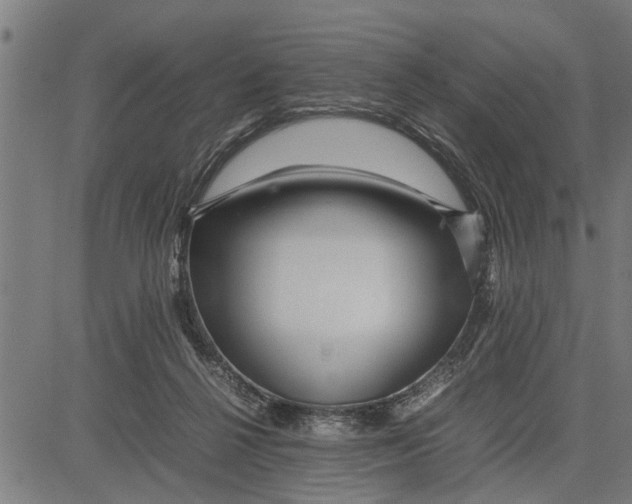 X0000081450264200702021750
